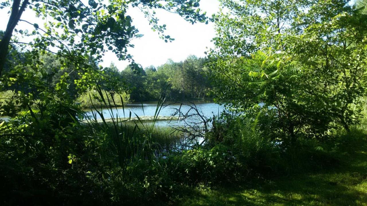 Ternuay-Melay-et-Saint-Hilaire Gite Des Prary Des Mille Etangs מראה חיצוני תמונה